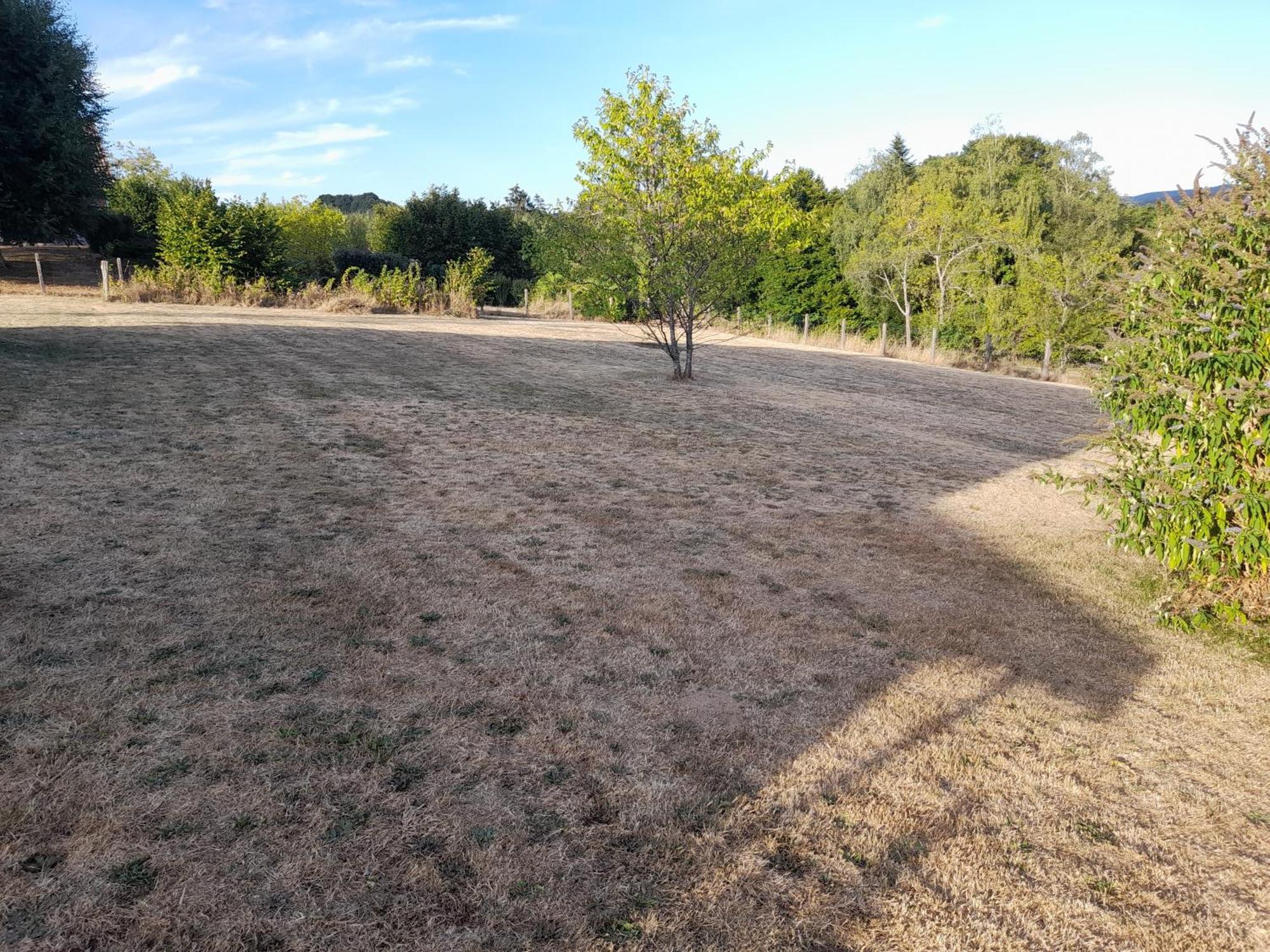 La cantinière Fougerolles-Saint-Valbert Esterno foto
